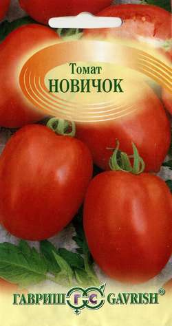 Томат Новичок фото