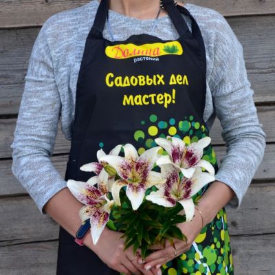 Лилия Трибал Кисс Лилия Трибал Кисс фото