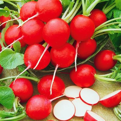Редис Ролекс F1 (Голландия) Редис Ролекс F1 (Голландия) - Dolina-Sad.Ru