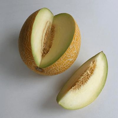 Дыня Царская фото