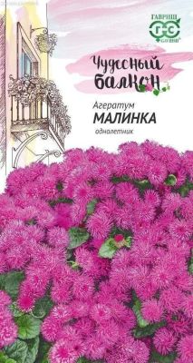 Агератум Малинка* "Чудесный балкон" Агератум Малинка* "Чудесный балкон" фото