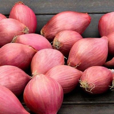 Лук-севок Розанна (10-21мм) Лук-севок Розанна (10-21мм) фото